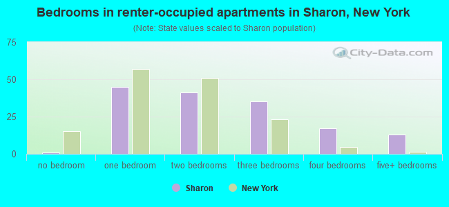 Bedrooms in renter-occupied apartments in Sharon, New York