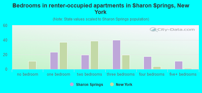 Bedrooms in renter-occupied apartments in Sharon Springs, New York