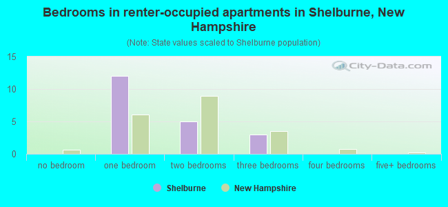 Bedrooms in renter-occupied apartments in Shelburne, New Hampshire