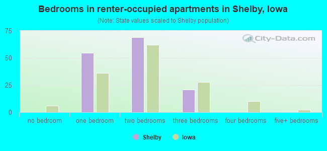 Bedrooms in renter-occupied apartments in Shelby, Iowa