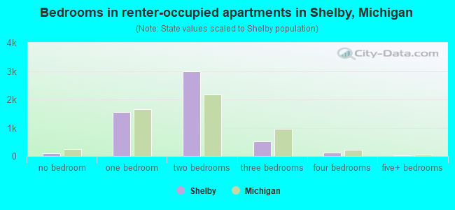 Bedrooms in renter-occupied apartments in Shelby, Michigan