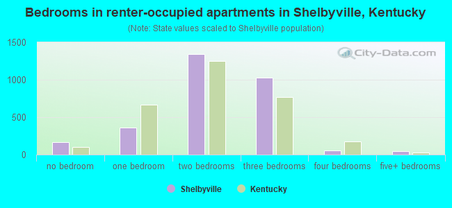 Bedrooms in renter-occupied apartments in Shelbyville, Kentucky