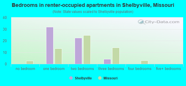 Bedrooms in renter-occupied apartments in Shelbyville, Missouri