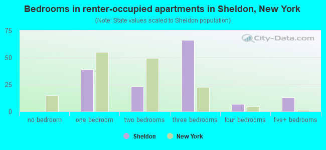 Bedrooms in renter-occupied apartments in Sheldon, New York