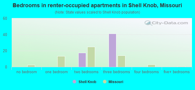 Bedrooms in renter-occupied apartments in Shell Knob, Missouri
