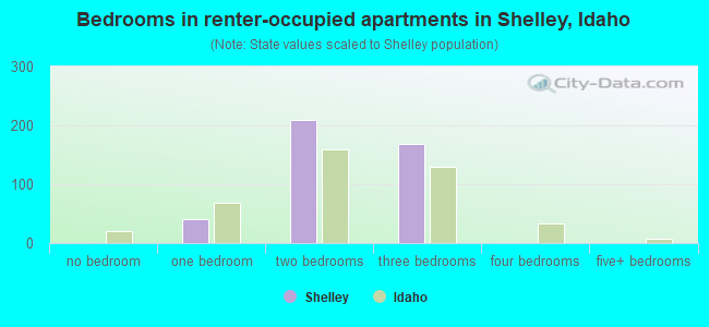 Bedrooms in renter-occupied apartments in Shelley, Idaho