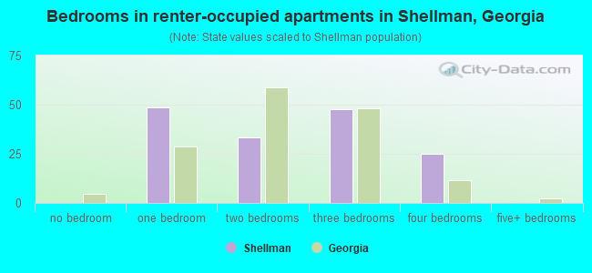 Bedrooms in renter-occupied apartments in Shellman, Georgia