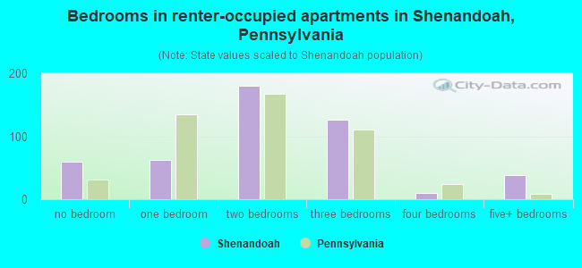 Bedrooms in renter-occupied apartments in Shenandoah, Pennsylvania