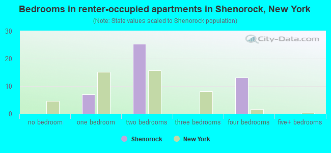 Bedrooms in renter-occupied apartments in Shenorock, New York