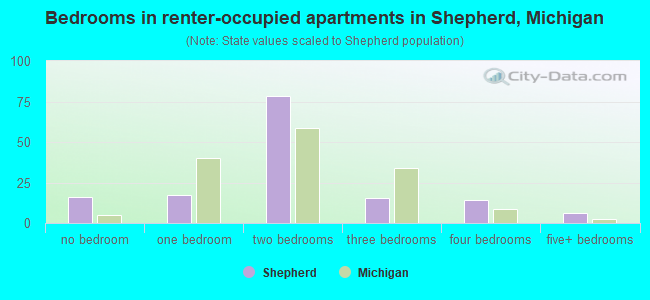 Bedrooms in renter-occupied apartments in Shepherd, Michigan