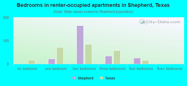 Bedrooms in renter-occupied apartments in Shepherd, Texas