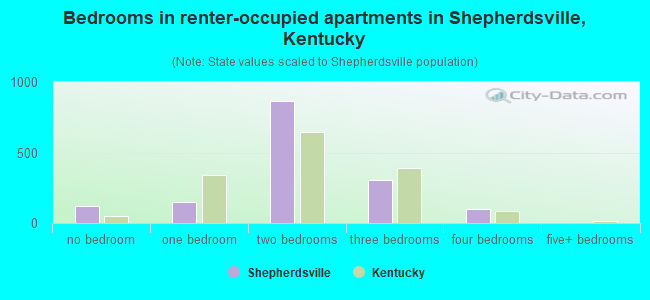 Bedrooms in renter-occupied apartments in Shepherdsville, Kentucky