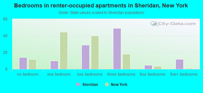 Bedrooms in renter-occupied apartments in Sheridan, New York