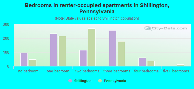 Bedrooms in renter-occupied apartments in Shillington, Pennsylvania