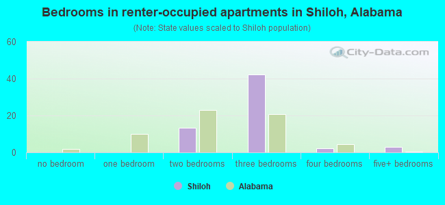 Bedrooms in renter-occupied apartments in Shiloh, Alabama