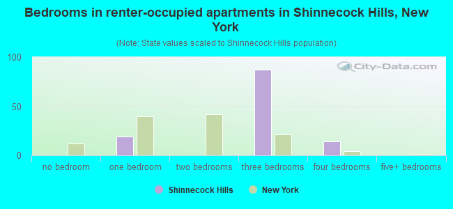 Bedrooms in renter-occupied apartments in Shinnecock Hills, New York