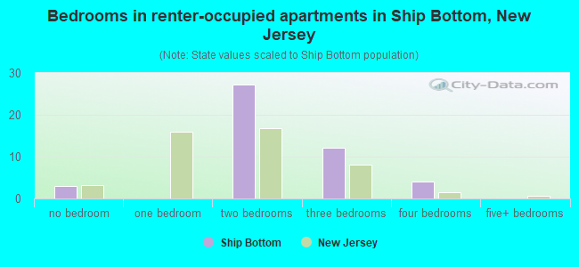 Bedrooms in renter-occupied apartments in Ship Bottom, New Jersey
