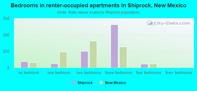 Bedrooms in renter-occupied apartments in Shiprock, New Mexico