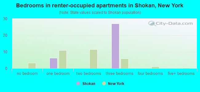 Bedrooms in renter-occupied apartments in Shokan, New York