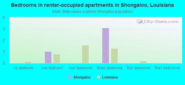 Bedrooms in renter-occupied apartments in Shongaloo, Louisiana