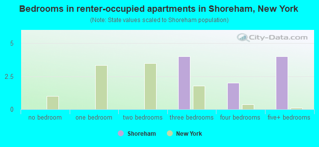 Bedrooms in renter-occupied apartments in Shoreham, New York