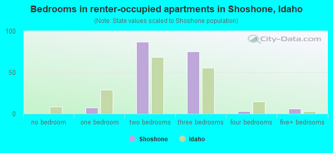 Bedrooms in renter-occupied apartments in Shoshone, Idaho