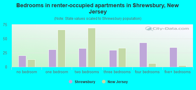 Bedrooms in renter-occupied apartments in Shrewsbury, New Jersey