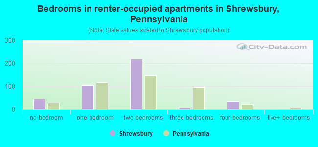 Bedrooms in renter-occupied apartments in Shrewsbury, Pennsylvania