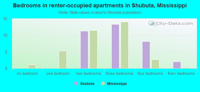 Bedrooms in renter-occupied apartments in Shubuta, Mississippi