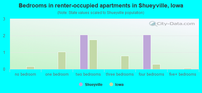 Bedrooms in renter-occupied apartments in Shueyville, Iowa