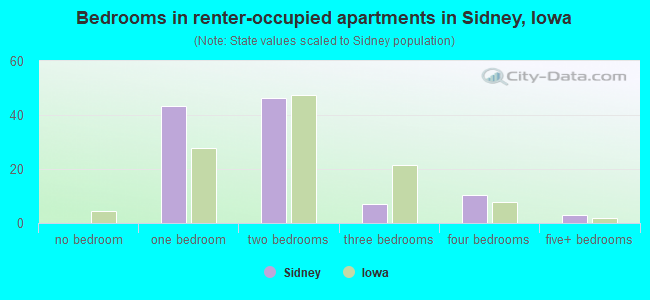 Bedrooms in renter-occupied apartments in Sidney, Iowa