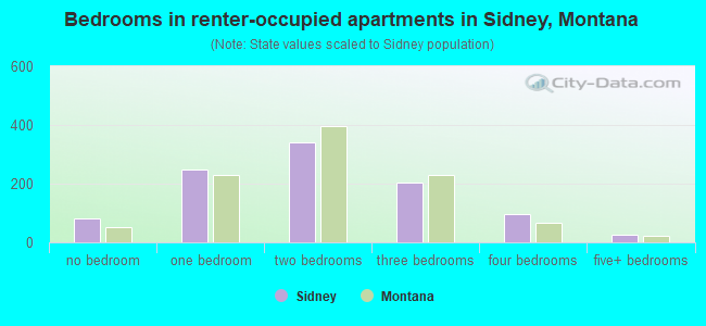 Bedrooms in renter-occupied apartments in Sidney, Montana