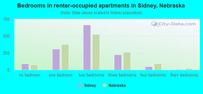 Bedrooms in renter-occupied apartments in Sidney, Nebraska