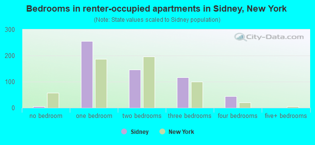Bedrooms in renter-occupied apartments in Sidney, New York