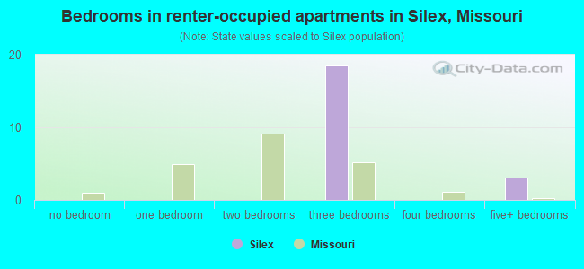 Bedrooms in renter-occupied apartments in Silex, Missouri
