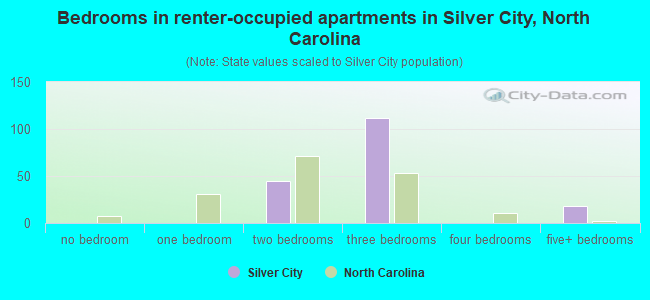 Bedrooms in renter-occupied apartments in Silver City, North Carolina