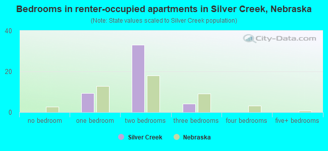 Bedrooms in renter-occupied apartments in Silver Creek, Nebraska
