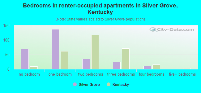 Bedrooms in renter-occupied apartments in Silver Grove, Kentucky
