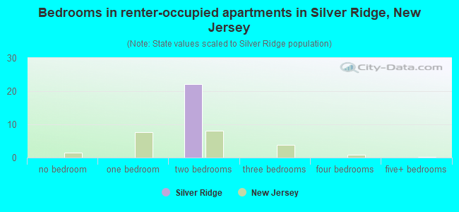 Bedrooms in renter-occupied apartments in Silver Ridge, New Jersey