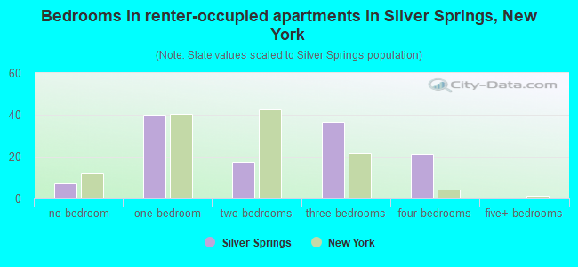 Bedrooms in renter-occupied apartments in Silver Springs, New York