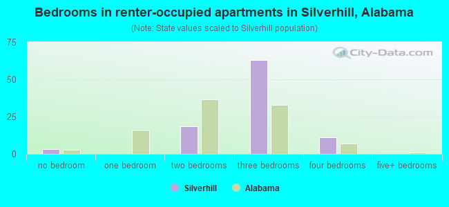 Bedrooms in renter-occupied apartments in Silverhill, Alabama