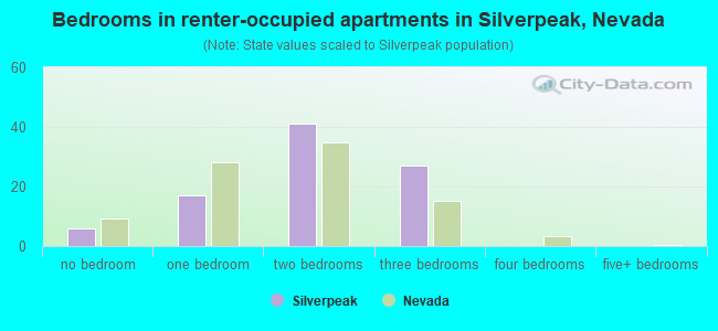 Bedrooms in renter-occupied apartments in Silverpeak, Nevada