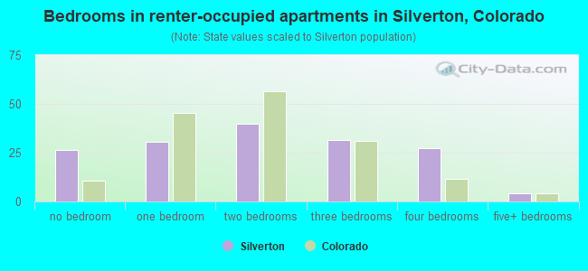 Bedrooms in renter-occupied apartments in Silverton, Colorado