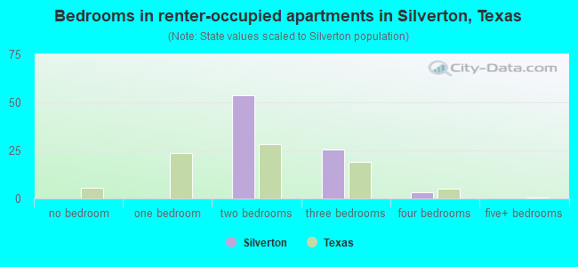 Bedrooms in renter-occupied apartments in Silverton, Texas