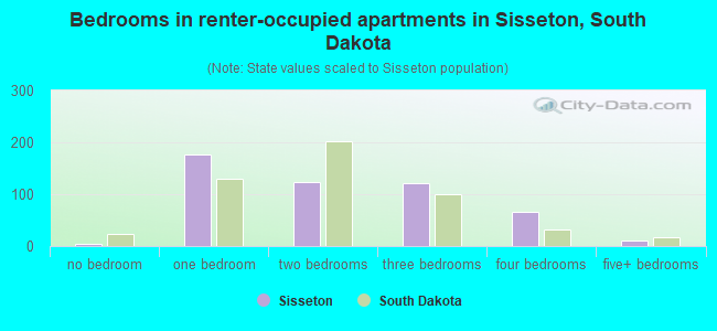 Bedrooms in renter-occupied apartments in Sisseton, South Dakota