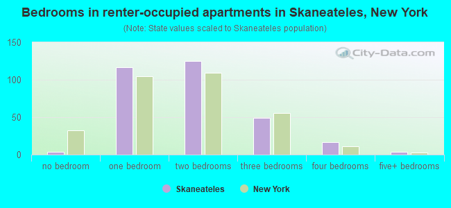 Bedrooms in renter-occupied apartments in Skaneateles, New York