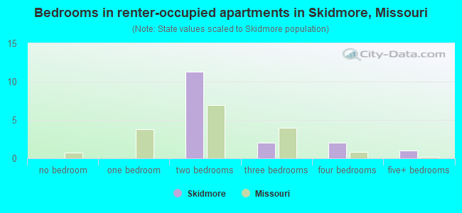 Bedrooms in renter-occupied apartments in Skidmore, Missouri