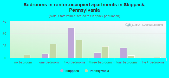 Bedrooms in renter-occupied apartments in Skippack, Pennsylvania