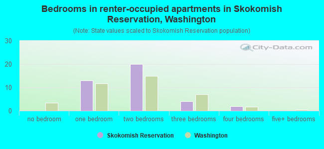 Bedrooms in renter-occupied apartments in Skokomish Reservation, Washington