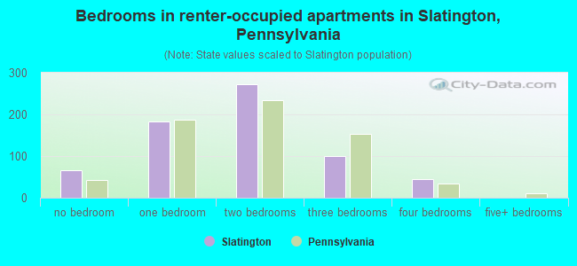 Bedrooms in renter-occupied apartments in Slatington, Pennsylvania